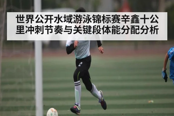 世界公开水域游泳锦标赛辛鑫十公里冲刺节奏与关键段体能分配分析 - kaiyun sports